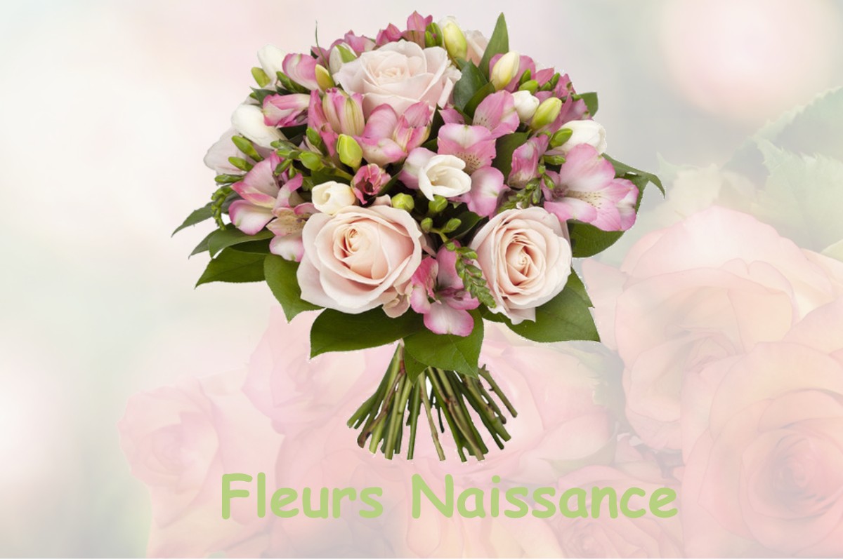 fleurs naissance LA-SELLE-EN-HERMOY