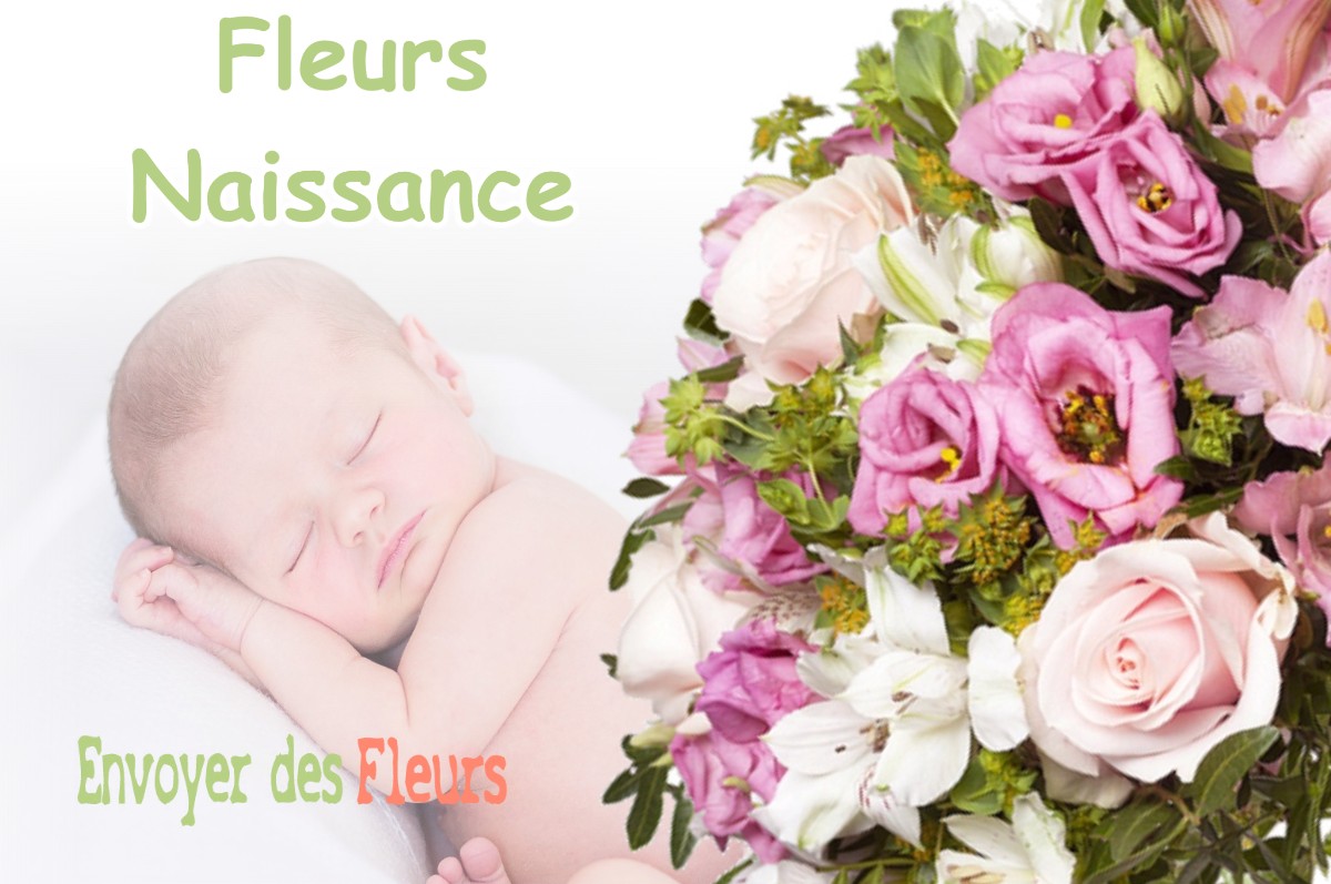 lIVRAISON FLEURS NAISSANCE à LA-SELLE-EN-HERMOY